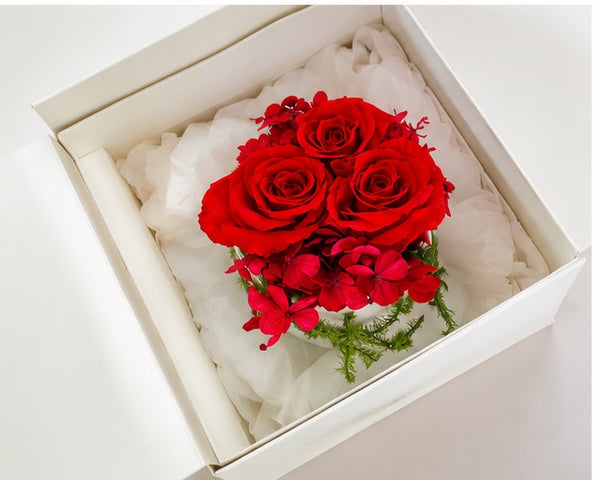 The Scarlet Romance Box