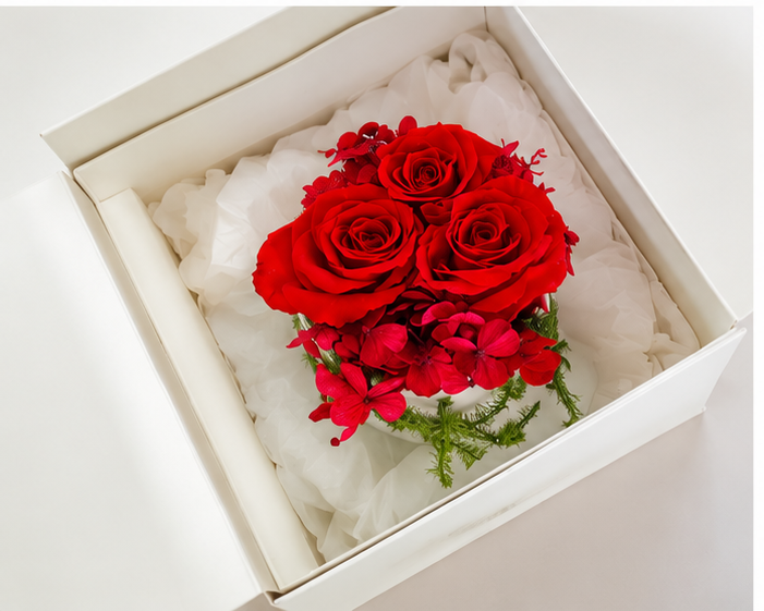 Preserved red roses